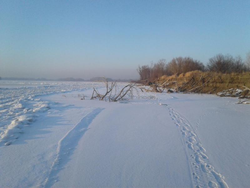Прикрепленное изображение: 20171207_161032.jpg