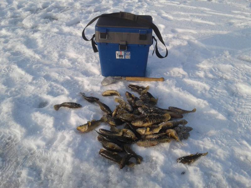 Прикрепленное изображение: 20171202_144849.jpg