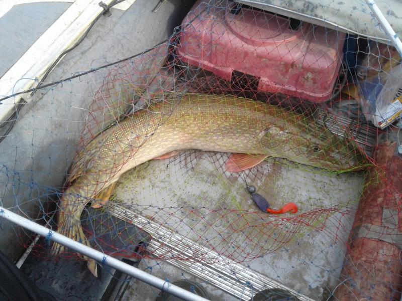 Прикрепленное изображение: 20171102_122122.jpg