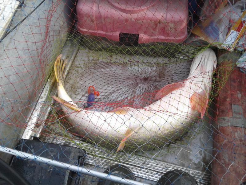 Прикрепленное изображение: 20171102_122045.jpg