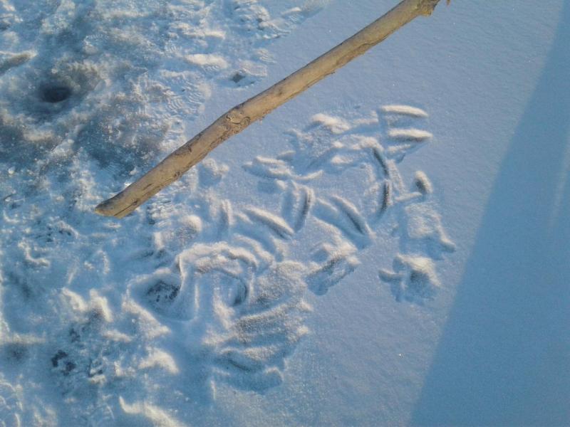 Прикрепленное изображение: 20171207_161225.jpg