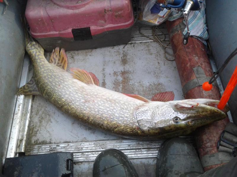 Прикрепленное изображение: 20171102_122628.jpg