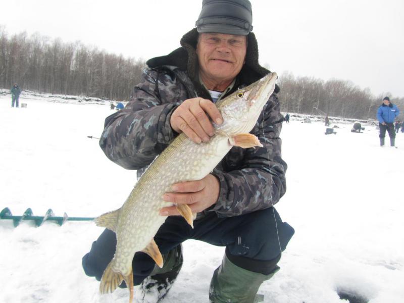 Прикрепленное изображение: IMG_8286.JPG