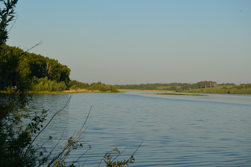 Прикрепленное изображение: DSC_4262.JPG