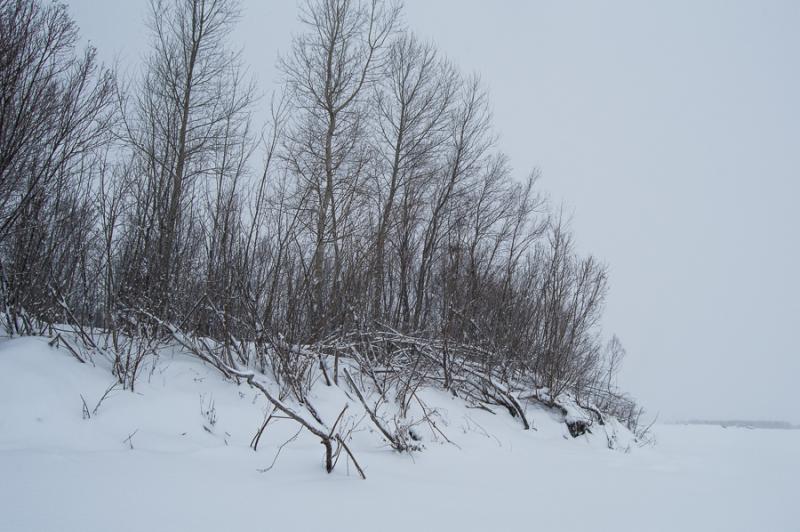 Прикрепленное изображение: DSC_7108.jpg