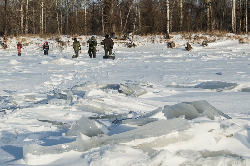 Прикрепленное изображение: DSC_6872.jpg