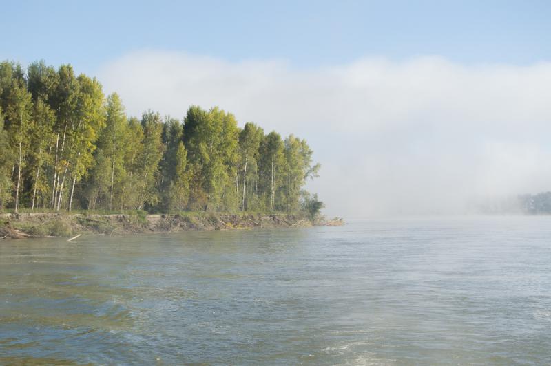 Прикрепленное изображение: DSC_5685.jpg