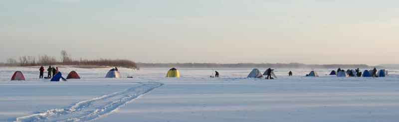 Прикрепленное изображение: DSC_6868.jpg