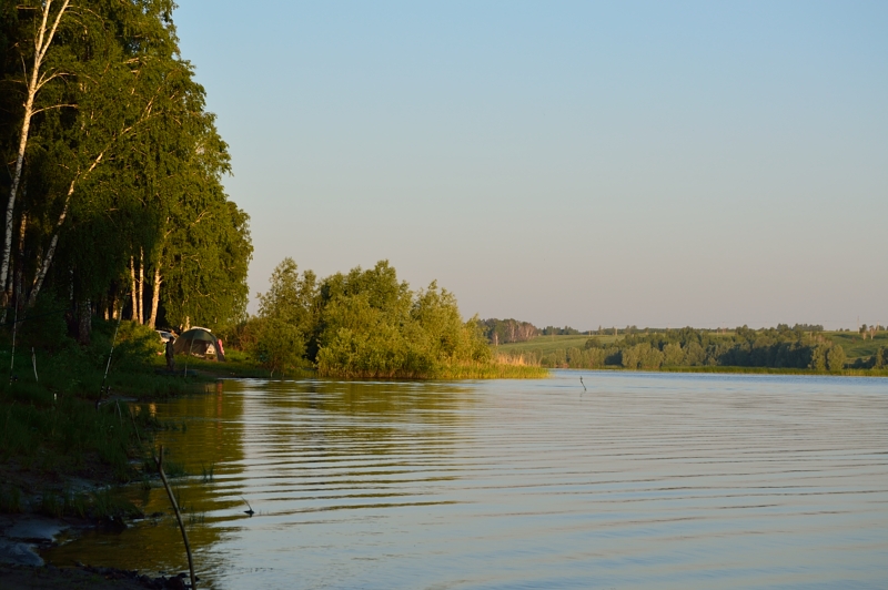 Прикрепленное изображение: DSC_4259.JPG