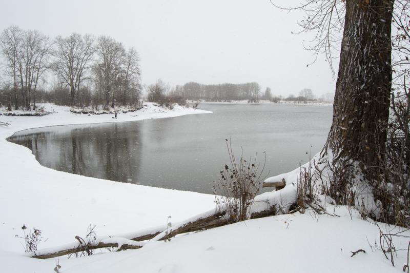 Прикрепленное изображение: DSC_6391.jpg