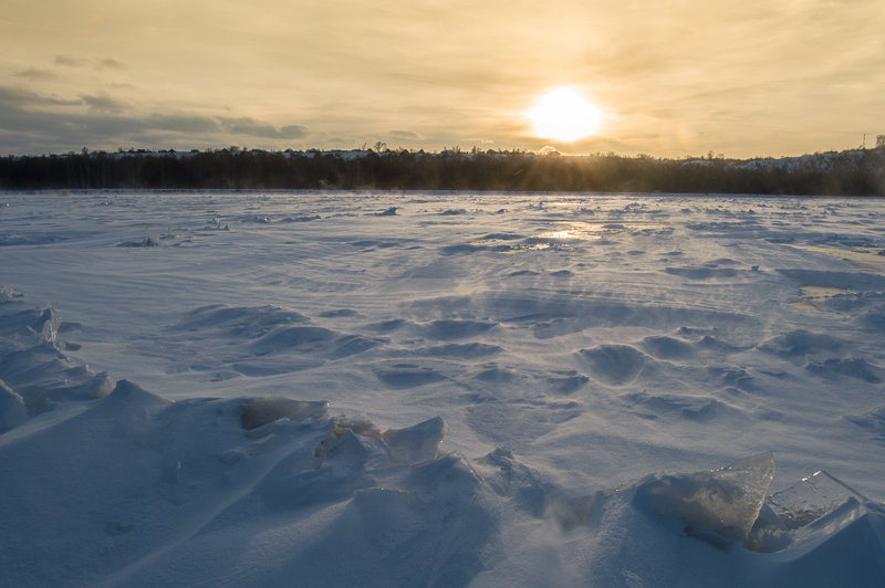 Прикрепленное изображение: DSC_6942.jpg