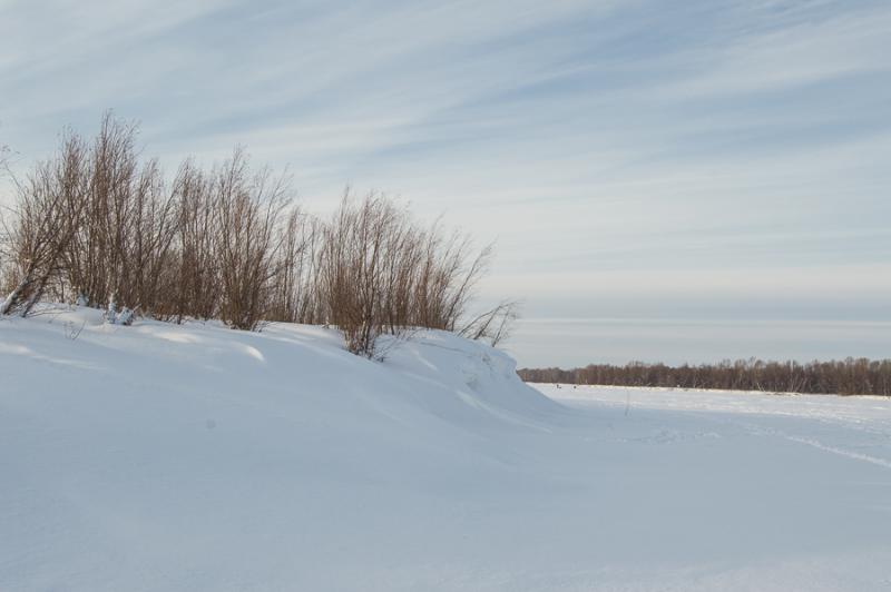 Прикрепленное изображение: DSC_7149.jpg