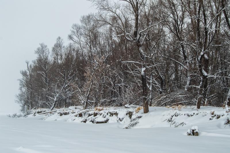 Прикрепленное изображение: DSC_7120.jpg