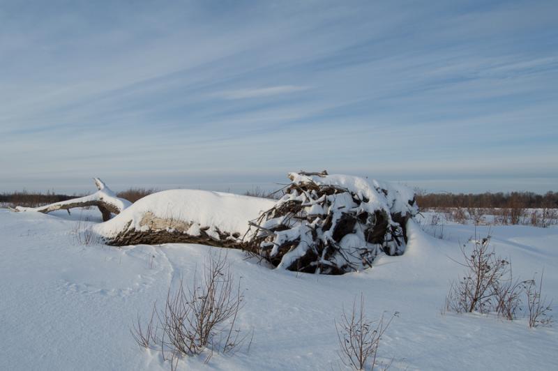 Прикрепленное изображение: DSC_7152.jpg