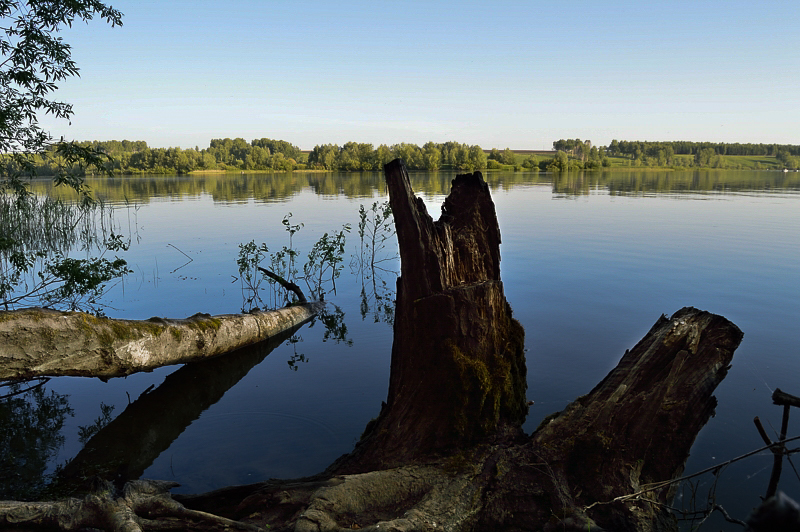 Прикрепленное изображение: DSC_4267.jpg