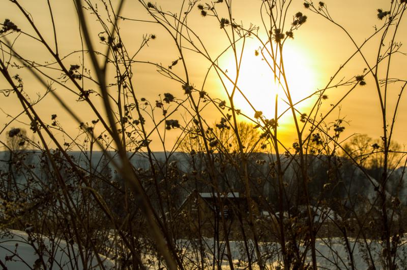 Прикрепленное изображение: DSC_7163.jpg