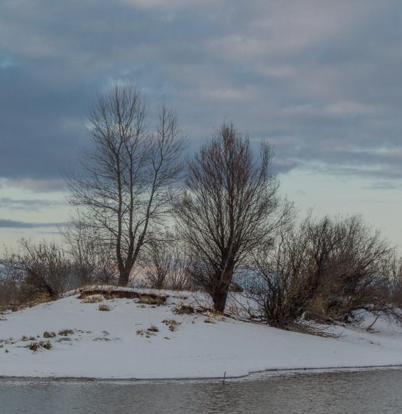 Прикрепленное изображение: DSC_6551.jpg
