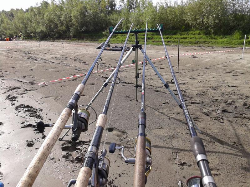 Прикрепленное изображение: post-50-0-42791100-1501496652.jpg