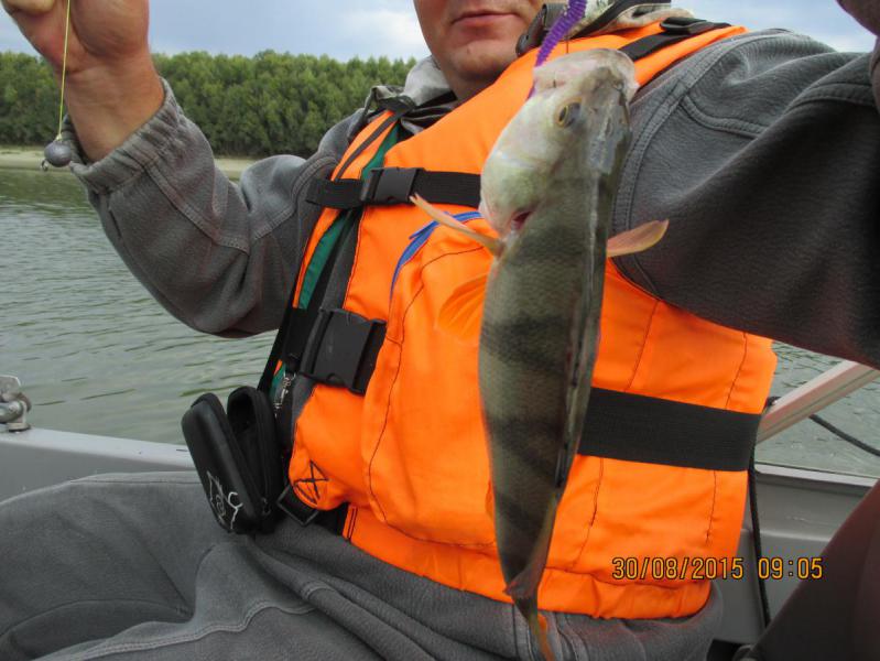 Прикрепленное изображение: 02.jpg