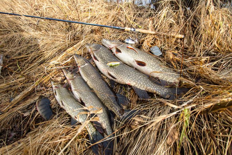 Прикрепленное изображение: Сане3 (1 из 1).jpg