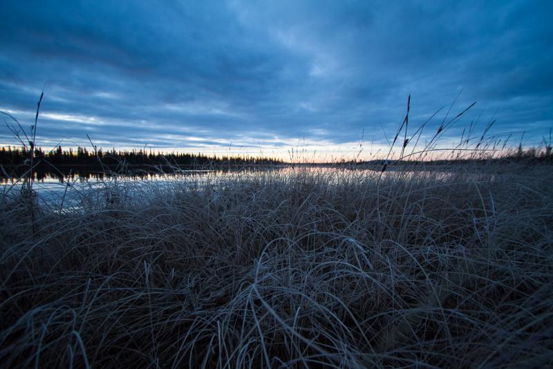 Прикрепленное изображение: рассвет (1 из 1).jpg