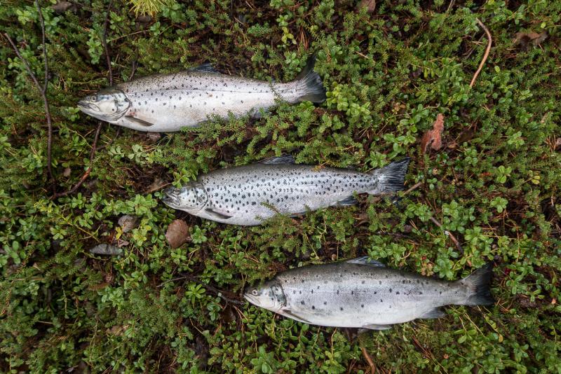 Прикрепленное изображение: 3.jpg