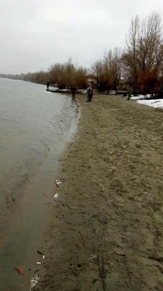 Прикрепленное изображение: орло.jpg