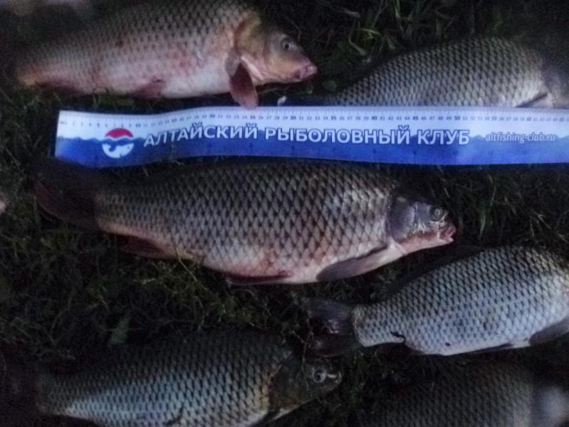 Прикрепленное изображение: P1080916.JPG