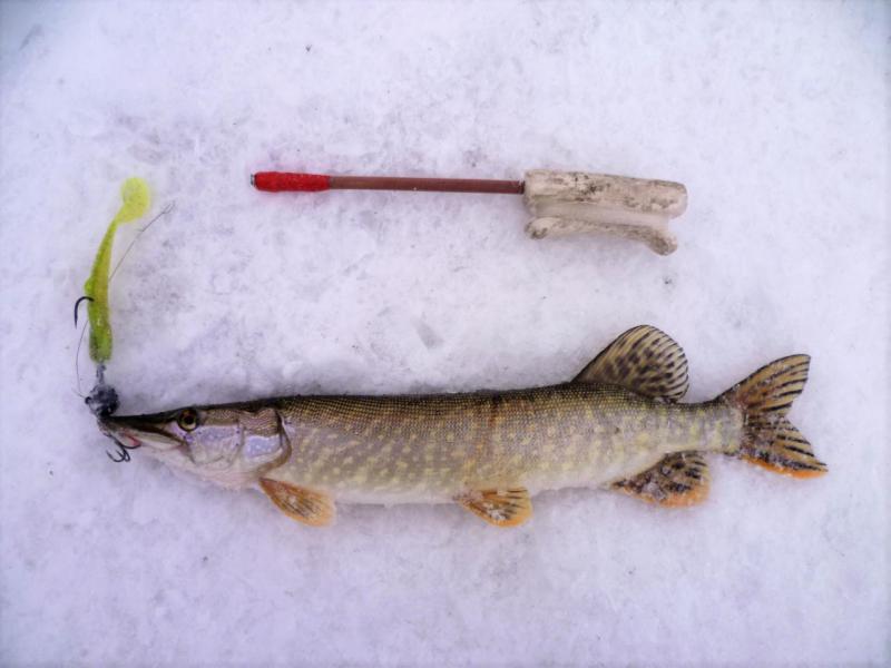 Прикрепленное изображение: P1080720 (2).JPG