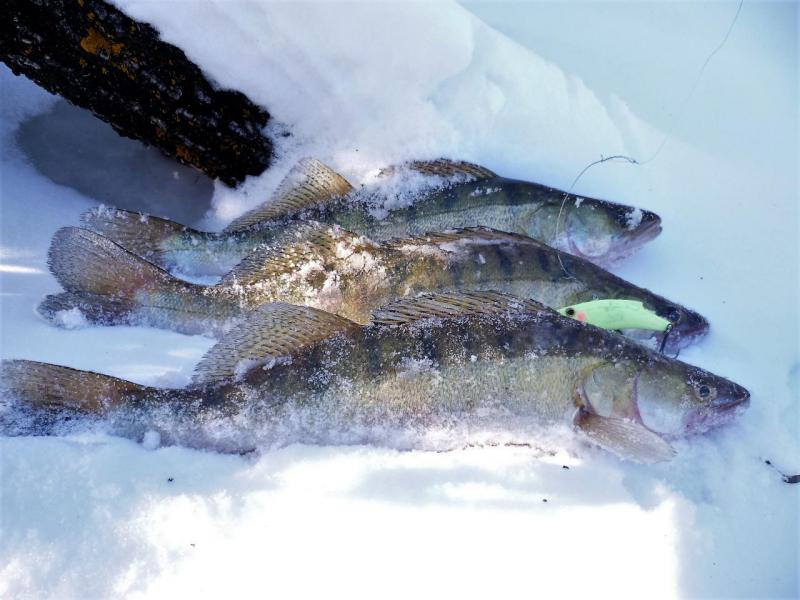 Прикрепленное изображение: P1090078.JPG