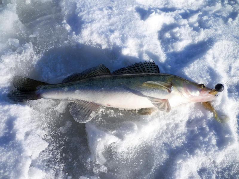 Прикрепленное изображение: P1090074.JPG