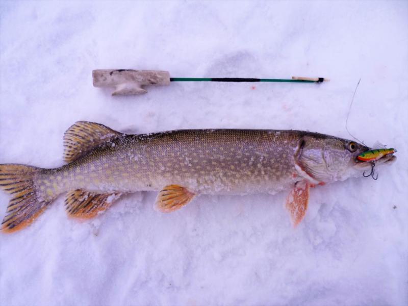 Прикрепленное изображение: P1080717 (2).JPG