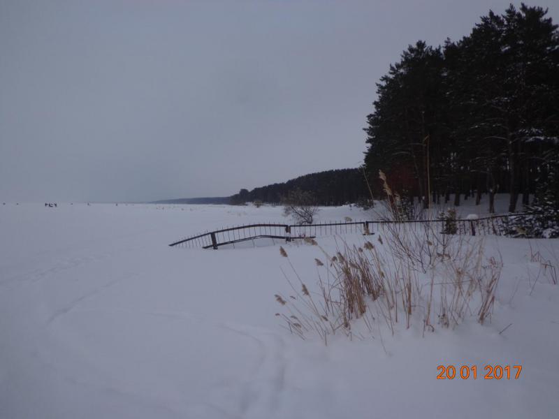 Прикрепленное изображение: DSC04684.JPG