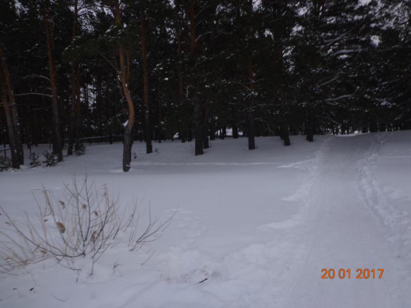 Прикрепленное изображение: DSC04685.JPG