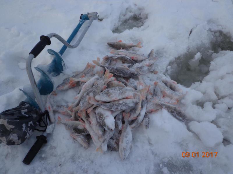 Прикрепленное изображение: DSC04166.JPG