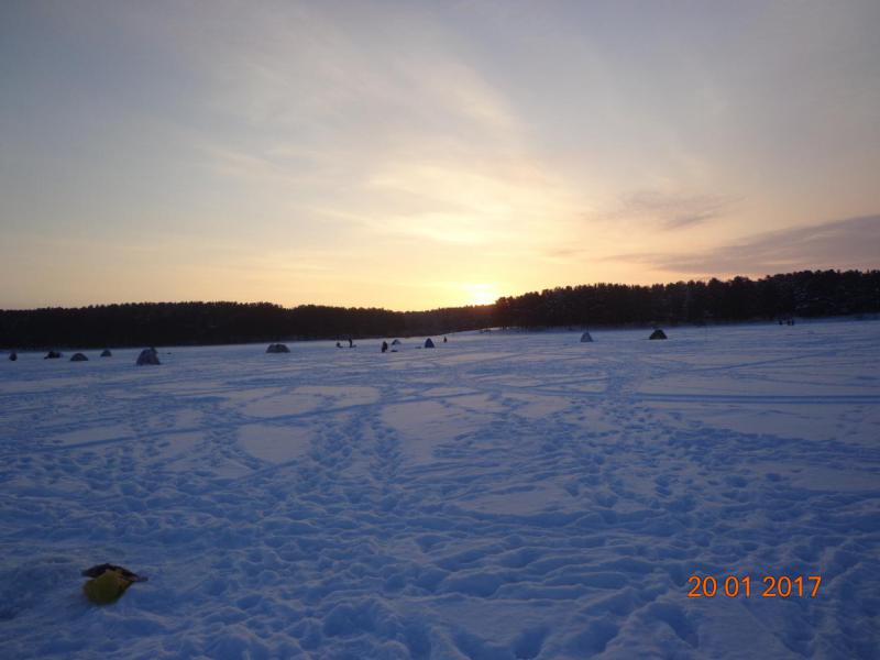 Прикрепленное изображение: DSC04661.JPG