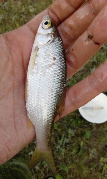 Прикрепленное изображение: s3JbwMLKVi4.jpg