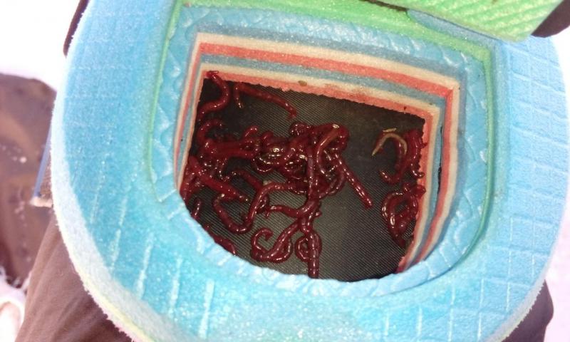 Прикрепленное изображение: IMG_20171223_160221.jpg