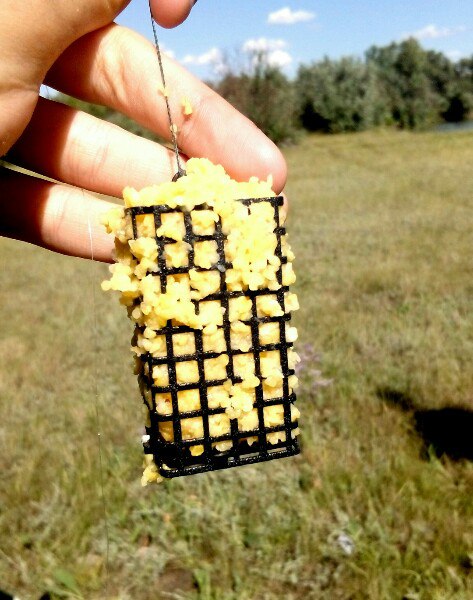 Прикрепленное изображение: wF3Ikt2jUXg.jpg