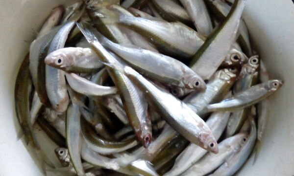 Прикрепленное изображение: c1336209885afd1a976ccbf1ac757b2a.jpg