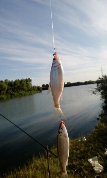 Прикрепленное изображение: M0UBdl5m-Pk.jpg