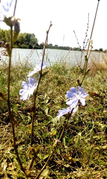 Прикрепленное изображение: 707c31ac216189cdca8450c4ac2d74c5.jpg