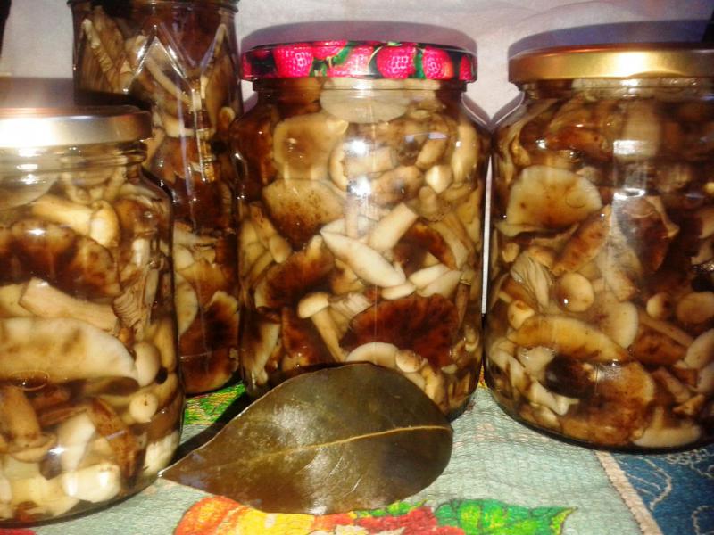 Прикрепленное изображение: 20160905_194756.jpg