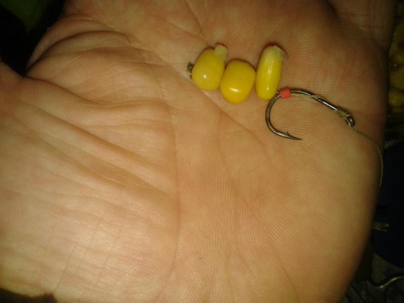 Прикрепленное изображение: Фото-0361.jpg