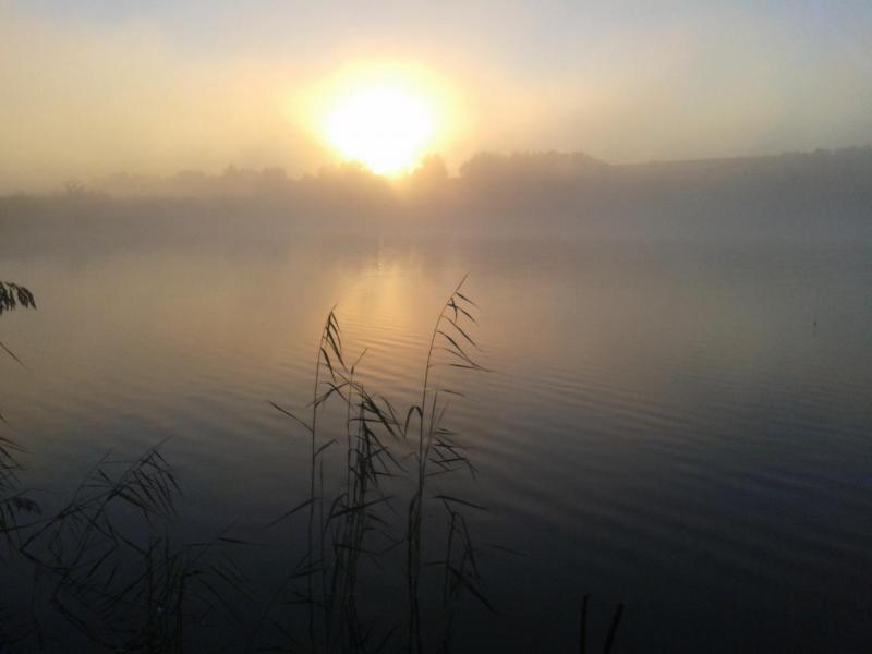 Прикрепленное изображение: Фото-0015.jpg