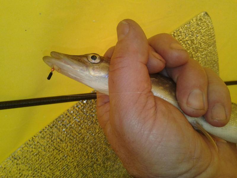 Прикрепленное изображение: Фото-0292.jpg