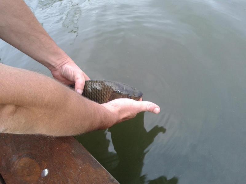 Прикрепленное изображение: Фото-0344.jpg