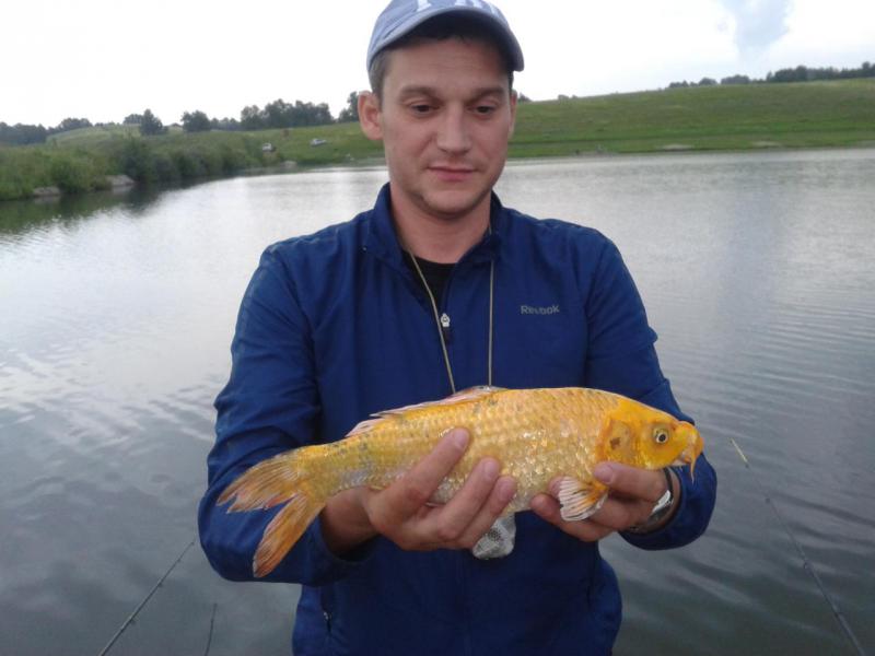 Прикрепленное изображение: Фото-0350.jpg