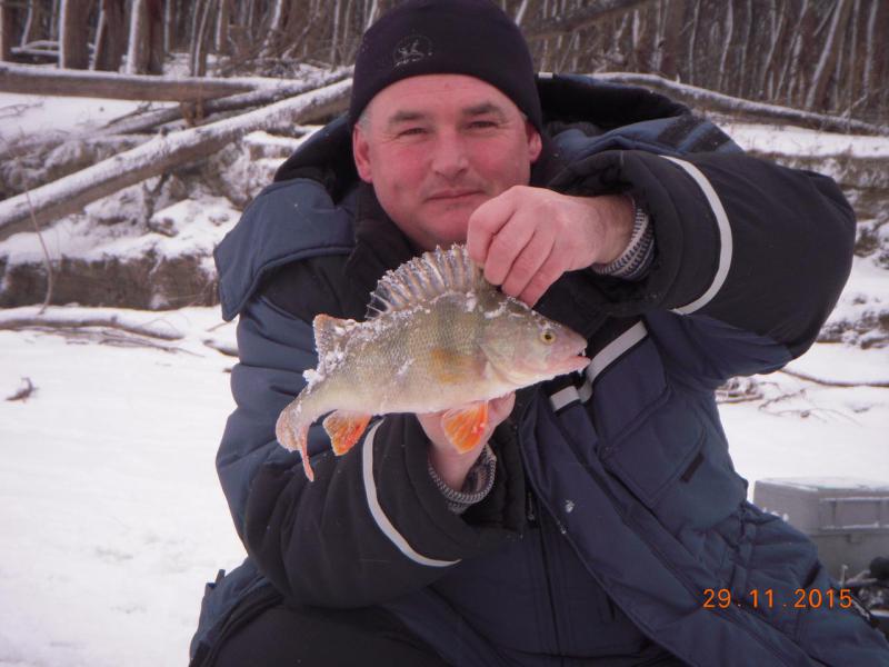 Прикрепленное изображение: DSCN7093.JPG