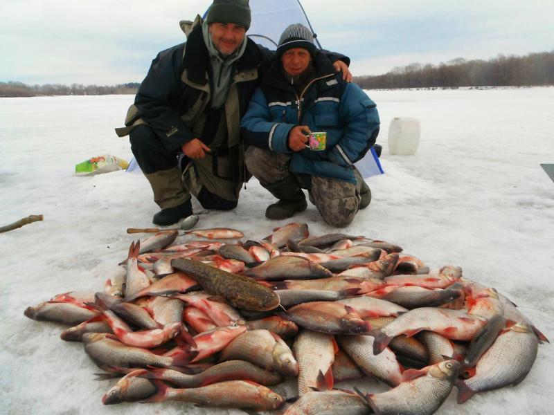Прикрепленное изображение: DSCF5342.JPG